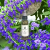 Hair Growth Oil - Natural Beauty, Pure Result - Image 7